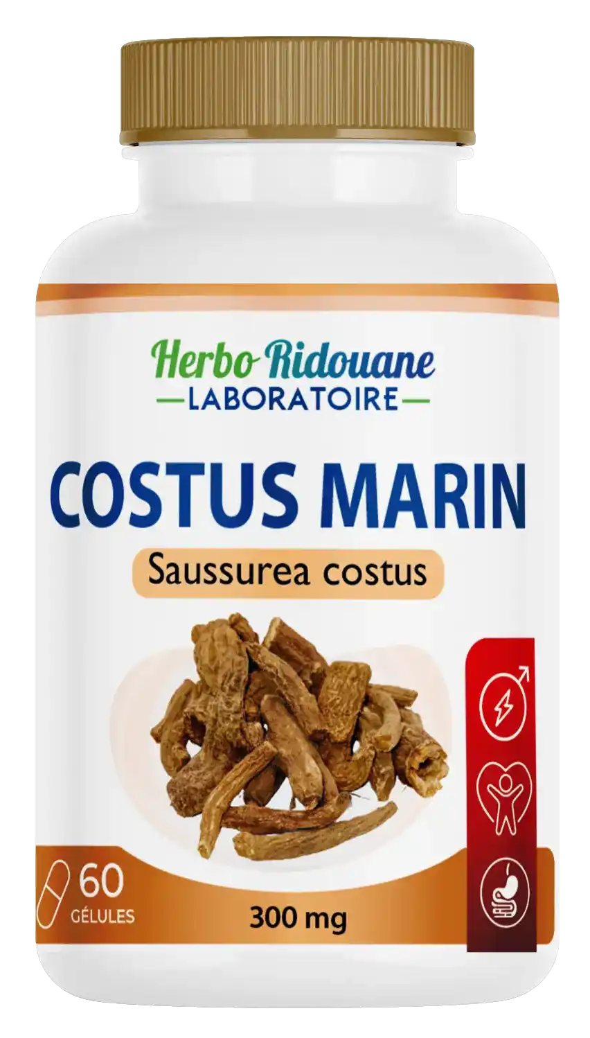 Costus marin